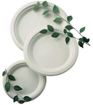 Assiettes plates fibre