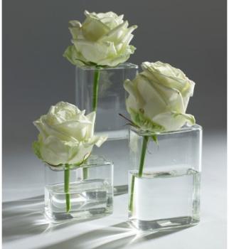 3 Mini Vases Soliflores Rectangle Serax