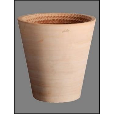 Grand Cuvier contemporain