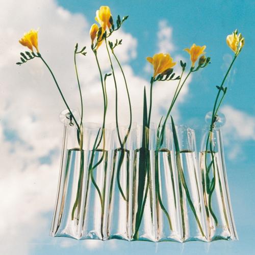 Vases en plastique avec ventouse Tlaloc Pa Design