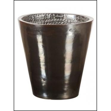 Grand Cuvier contemporain
