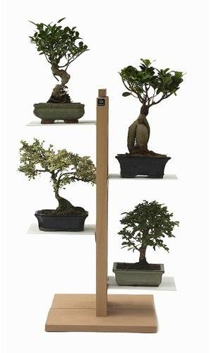 LE ZIE DI MILANO porte-plantes ZIA FLORA (H 66 cm