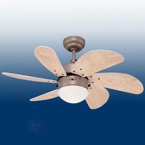 Ventilateur de plafond Turbo Swirl