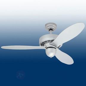 Ventilateur de plafond Airplane